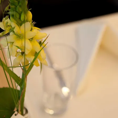 Dom, Zentral - Herzlich - Sozial Engagiert Hotel St. Gallen