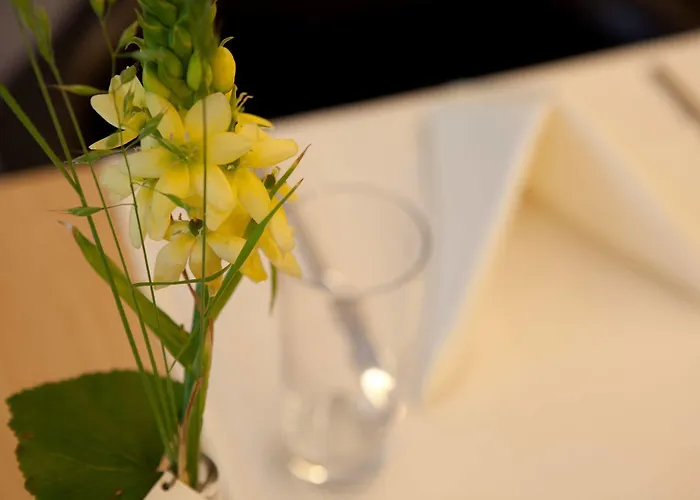 Dom, Zentral - Herzlich - Sozial Engagiert Hotel St. Gallen